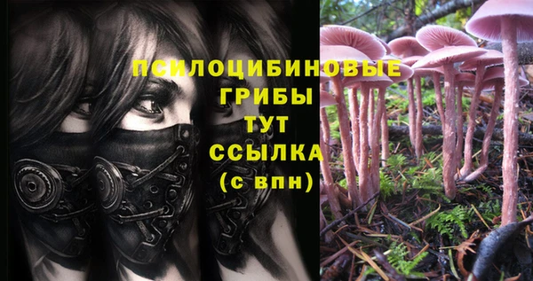прущий лед Белоозёрский