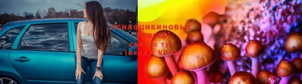 ПСИЛОЦИБИНОВЫЕ ГРИБЫ Белокуриха