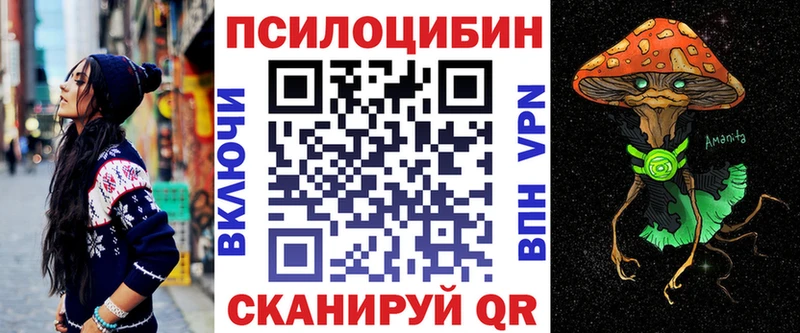 shop Telegram  Кяхта  Галлюциногенные грибы MAGIC MUSHROOMS 